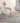 French Bistro Chair Set of 2 with Galvanized Metal Framex